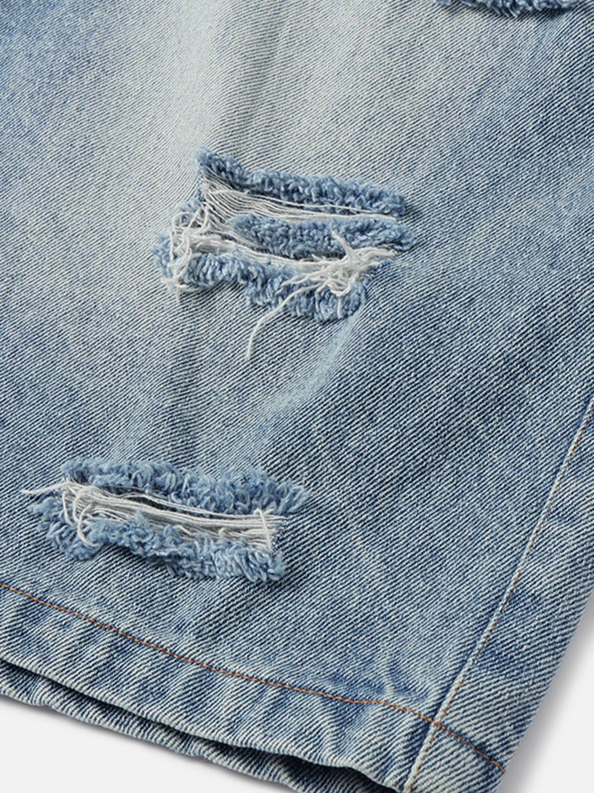 Aelfric Eden Ethnic Applique Longline Jorts Product Image