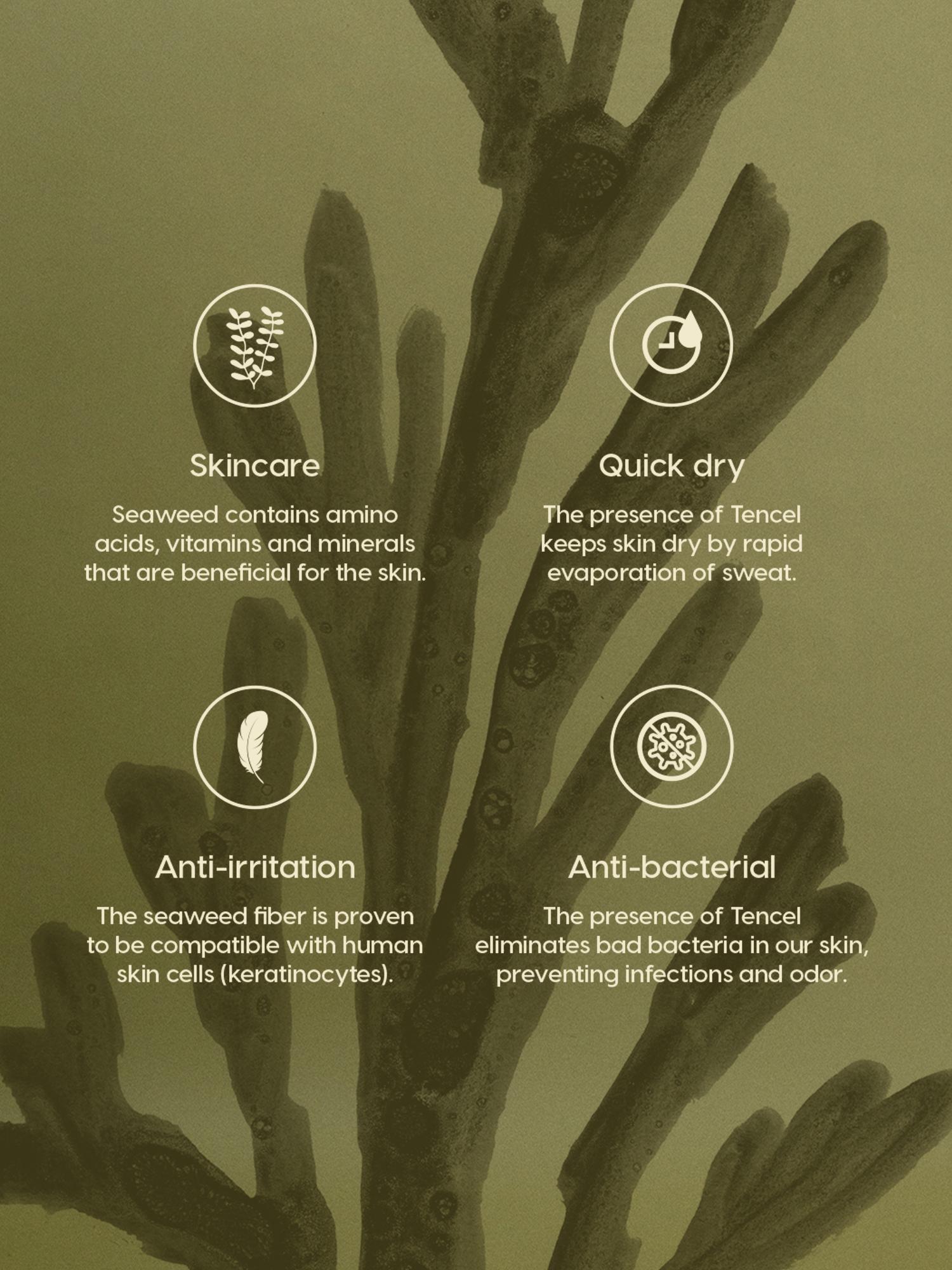 Seacell Tencel Quarter Zip Pullover Female Product Image