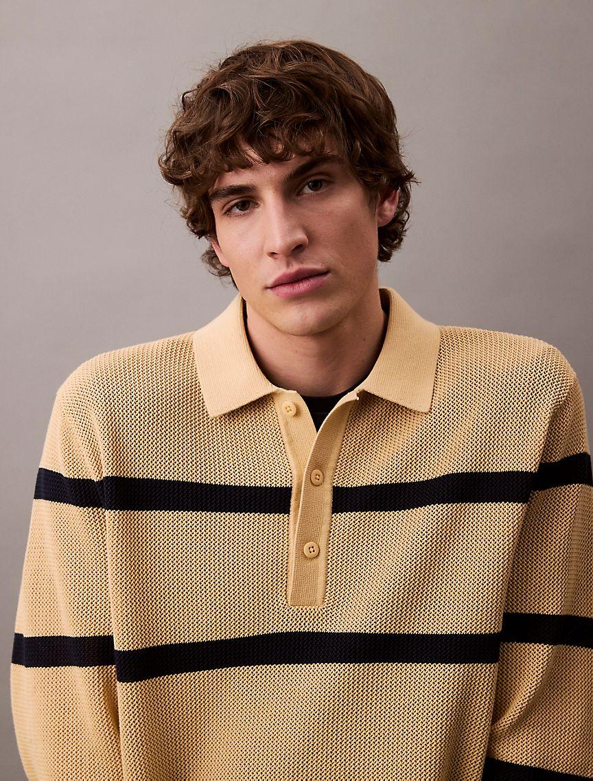 Striped Polo Sweater Product Image