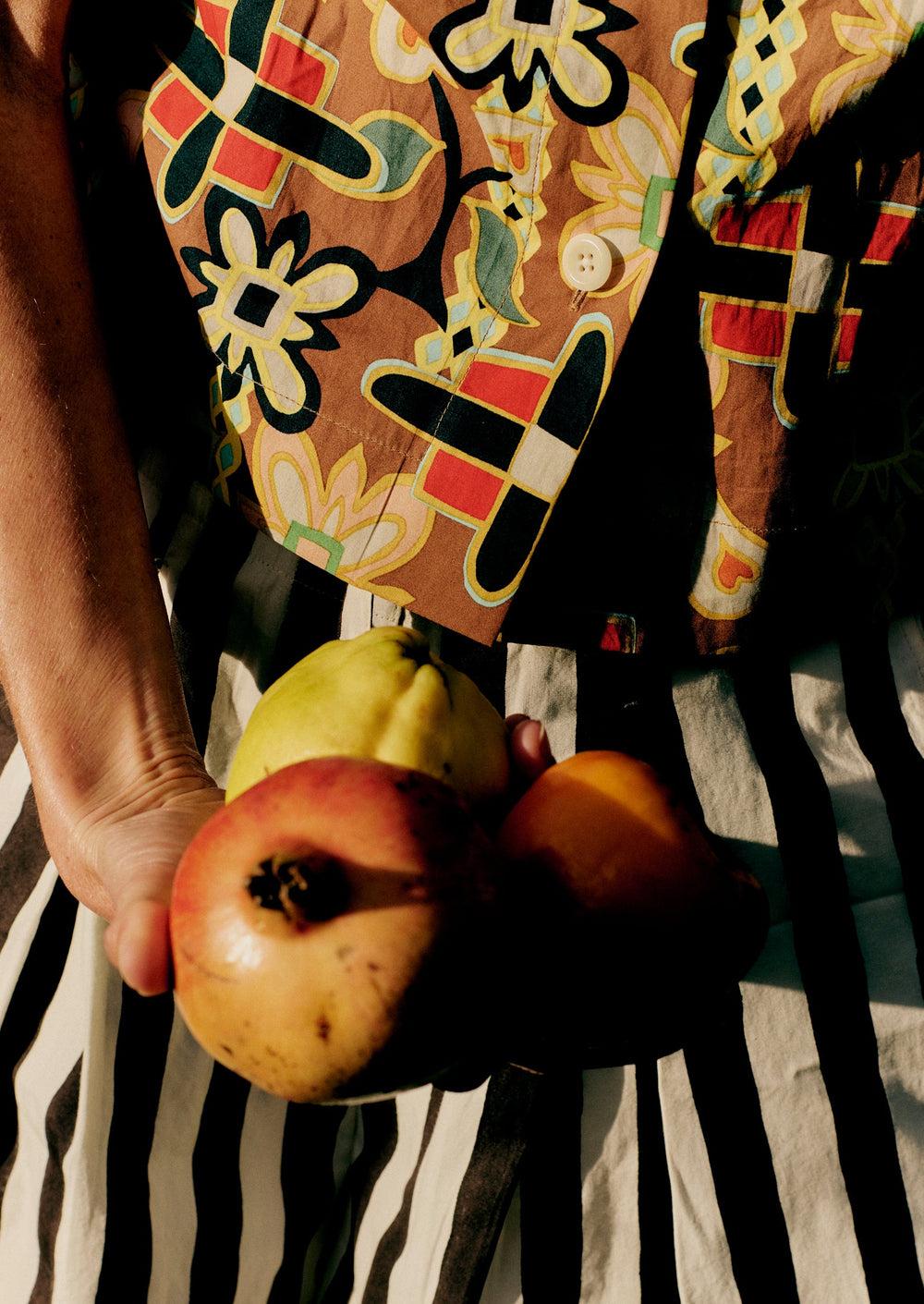 Wave Stripe Block Print Cotton Shorts | Ecru/Chocolate Product Image