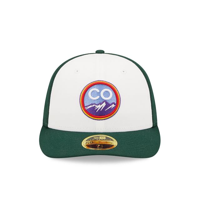 Chicago Cubs Classic Tones 19TWENTY Adjustable Hat Male Product Image