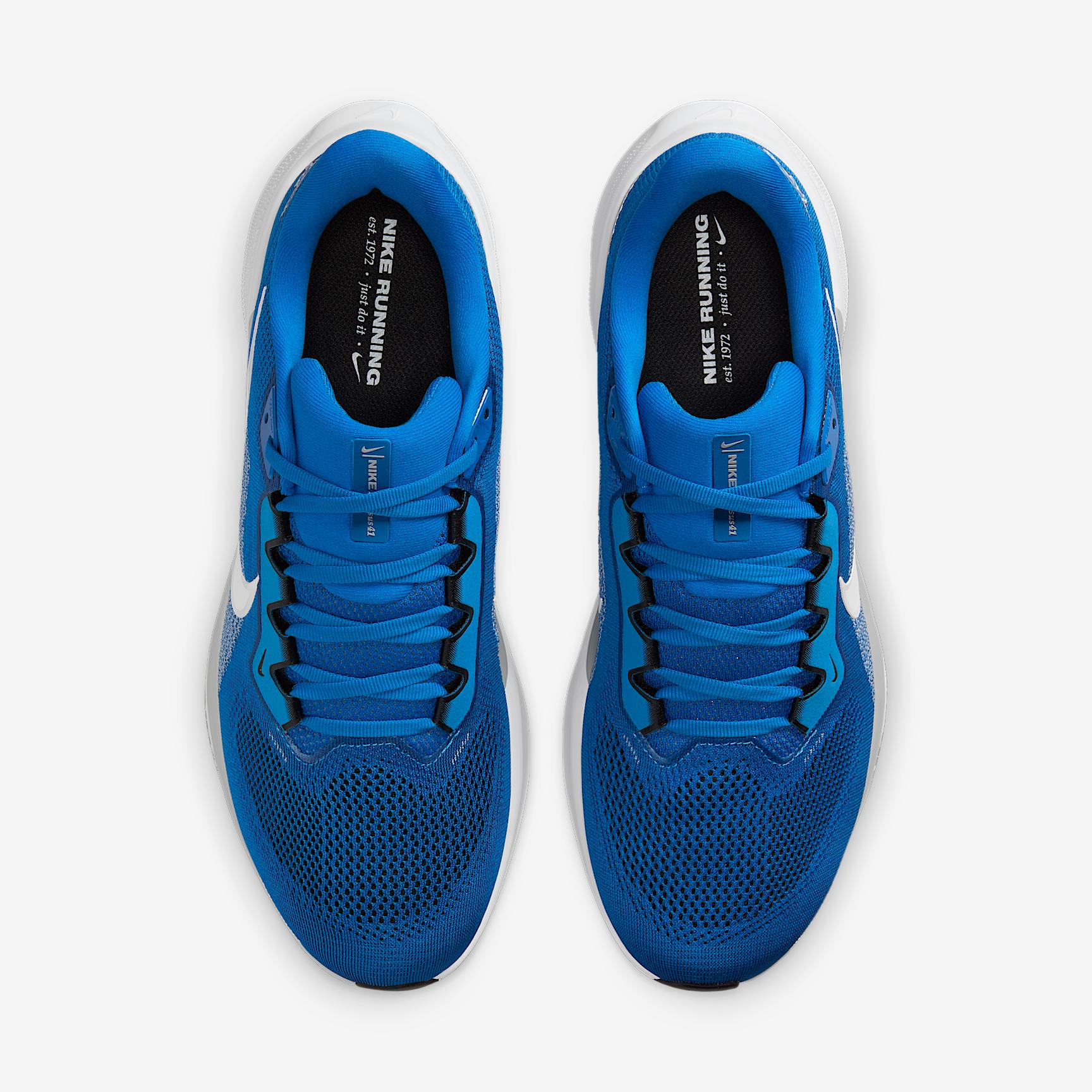 Detroit Lions Pegasus 41 Nike Men's NFL Road Running Shoes Product Image