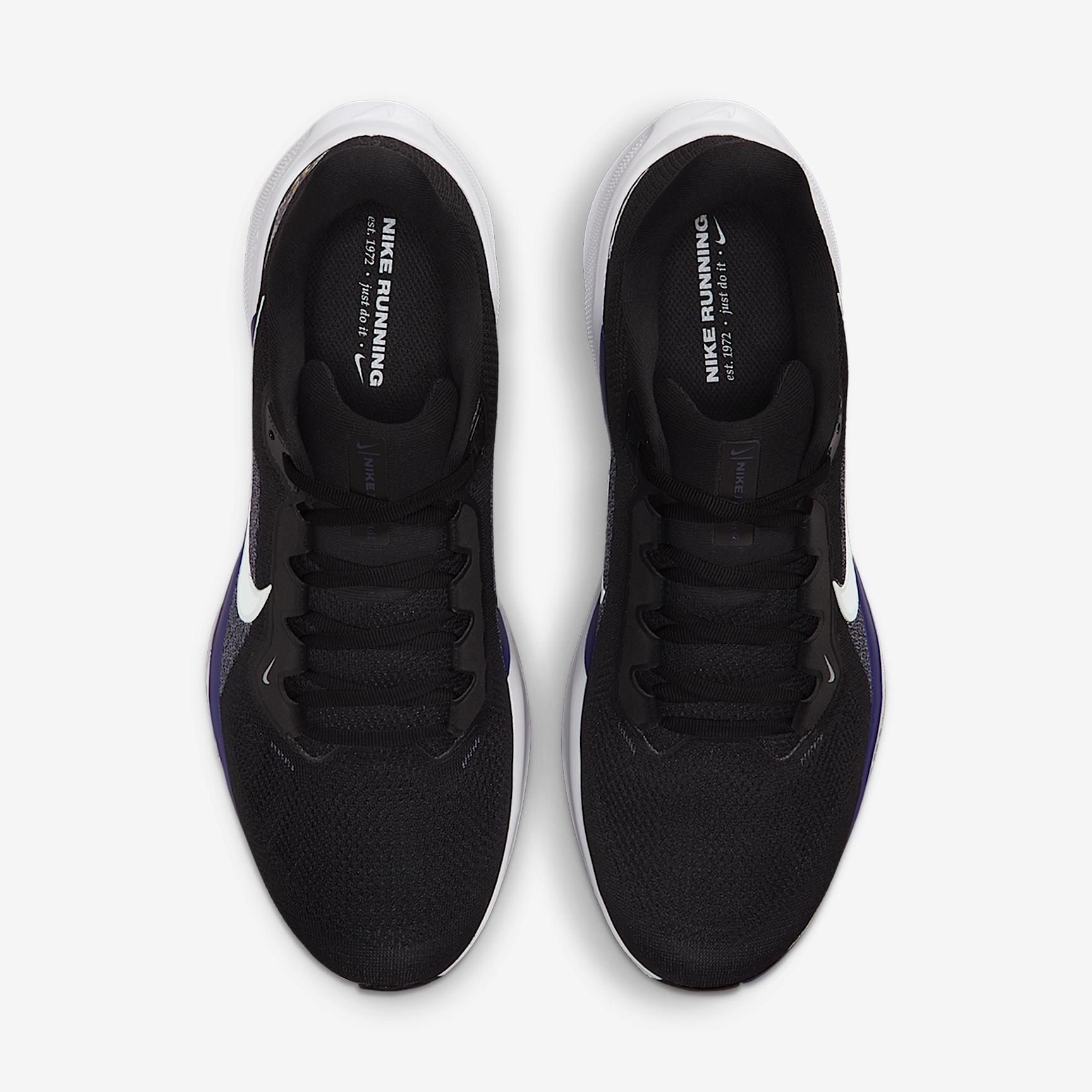 Baltimore Ravens Pegasus 41 Nike Mens NFL Road Running Shoes | IB3194-001 Product Image