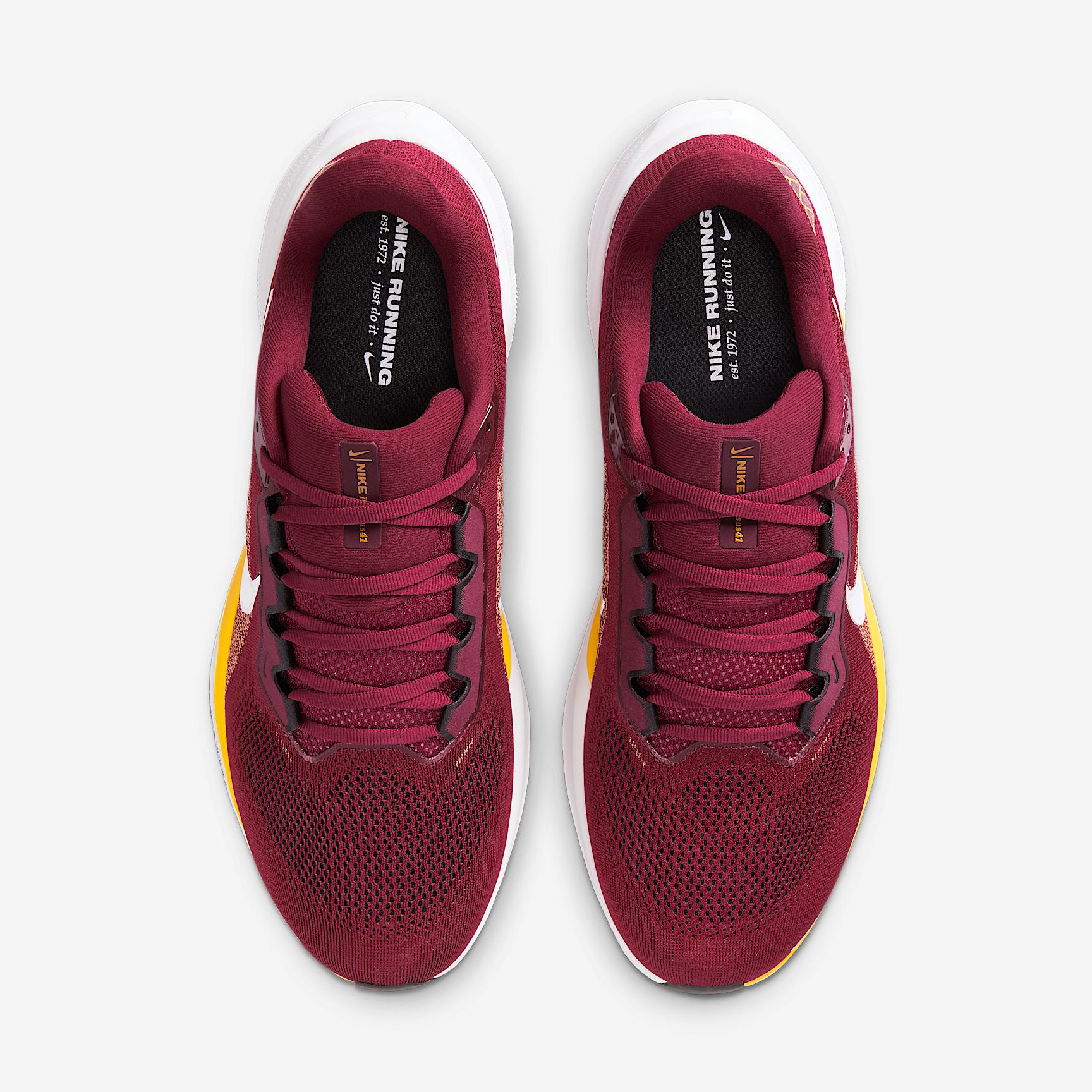 Washington Commanders Pegasus 41 Nike Mens NFL Road Running Shoes | IB3184-600 Product Image