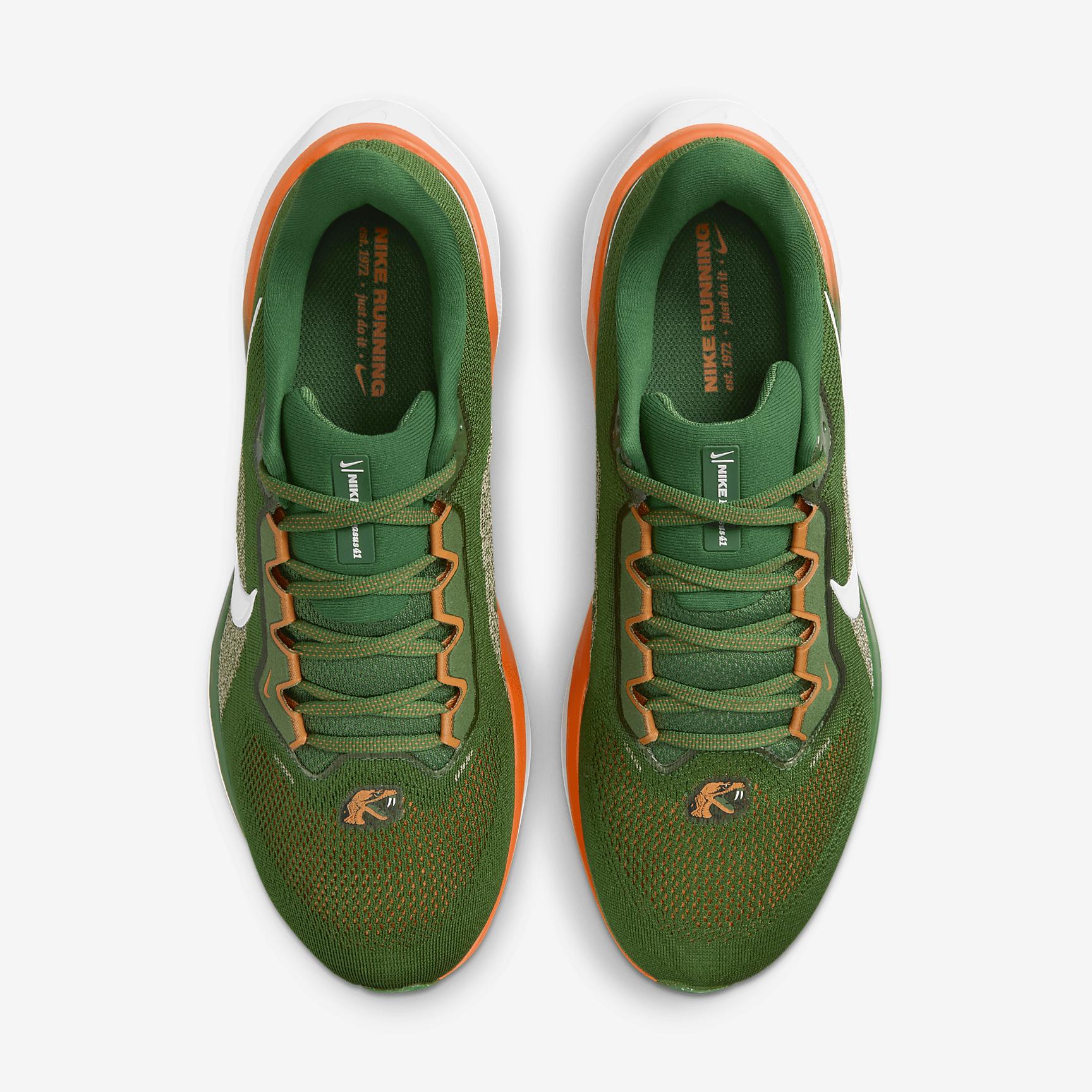 FAMU Pegasus 41 Men's Nike College Road Running Shoes Product Image
