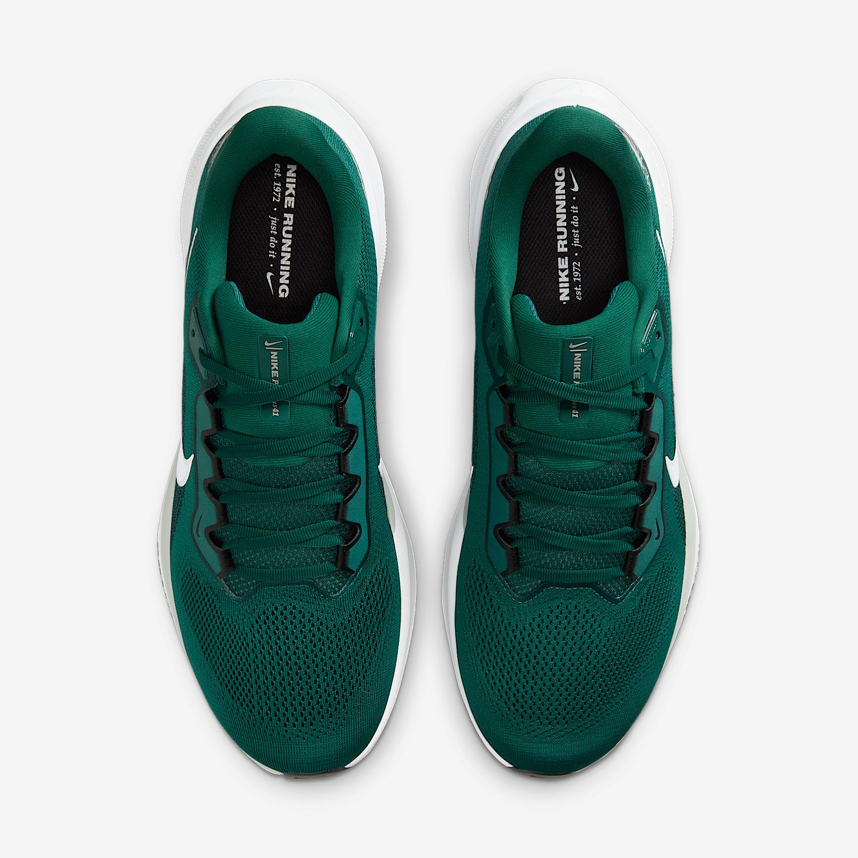 Philadelphia Eagles Pegasus 41 Nike Men's NFL Road Running Shoes Product Image