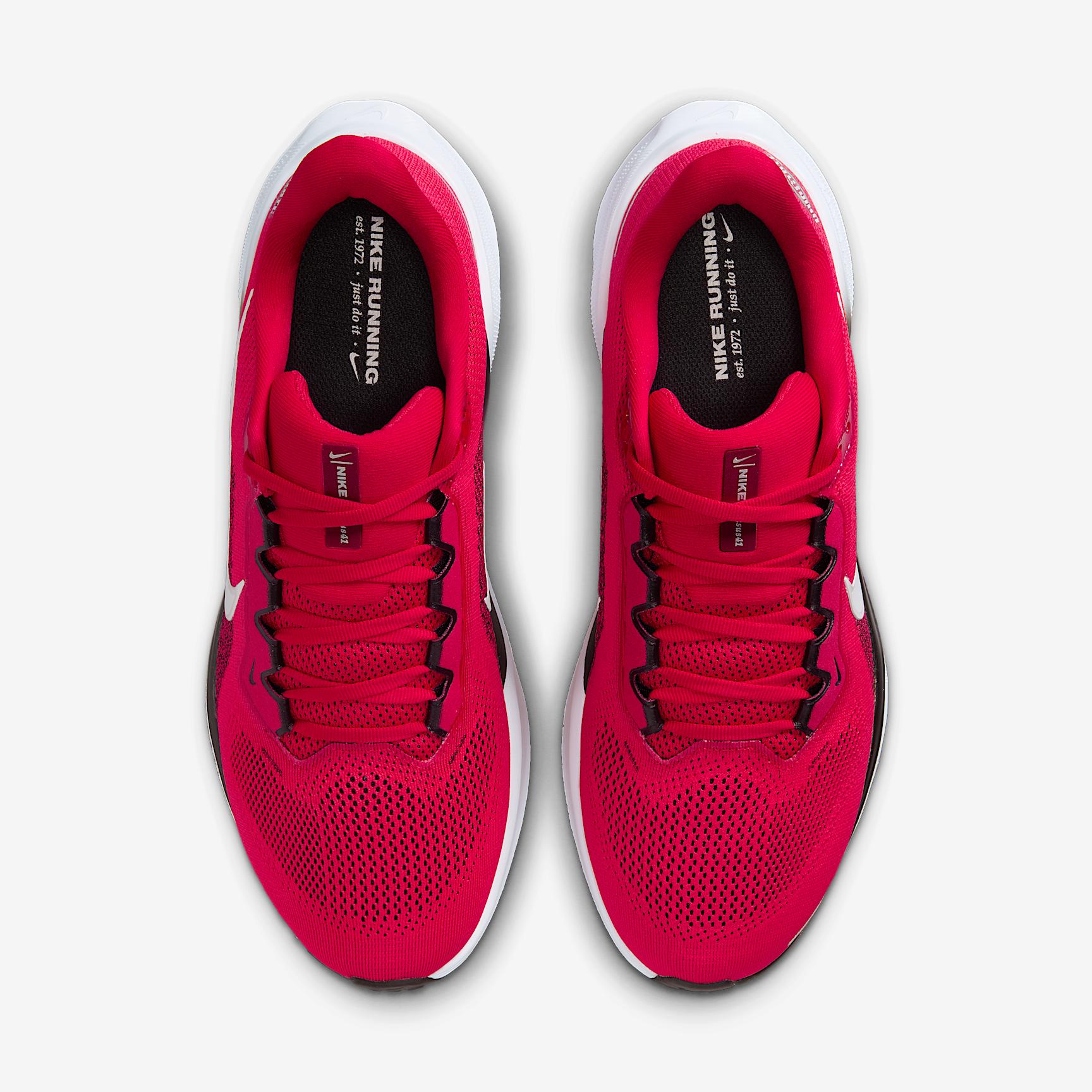 Ohio State Pegasus 41 Men's Nike College Road Running Shoes Product Image