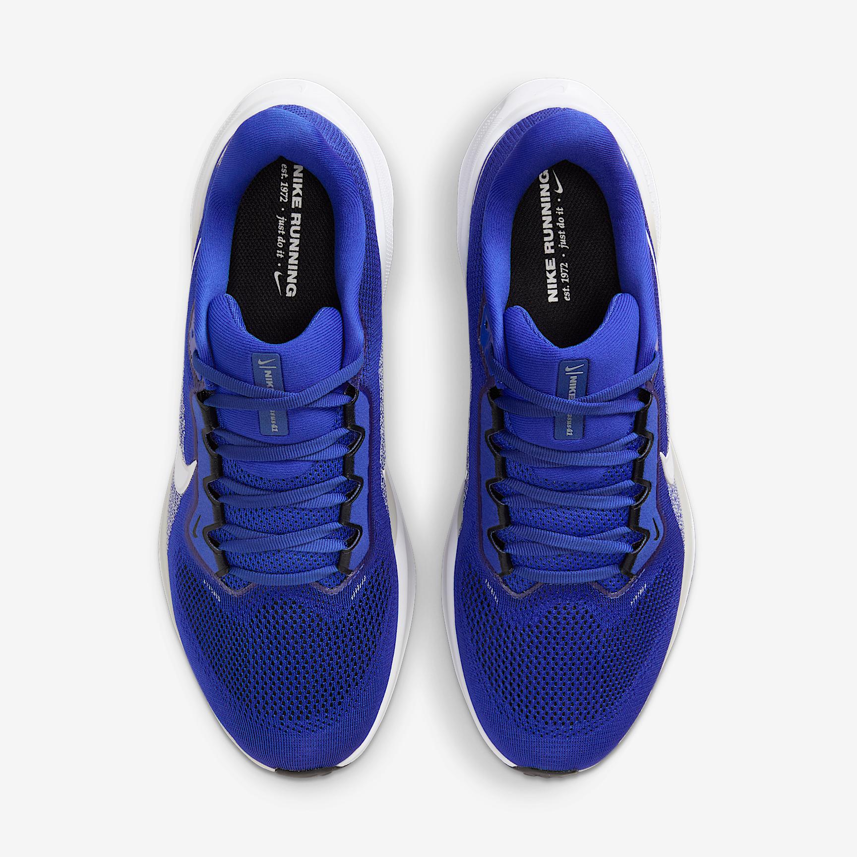 Kentucky Pegasus 41 Men's Nike College Road Running Shoes Product Image