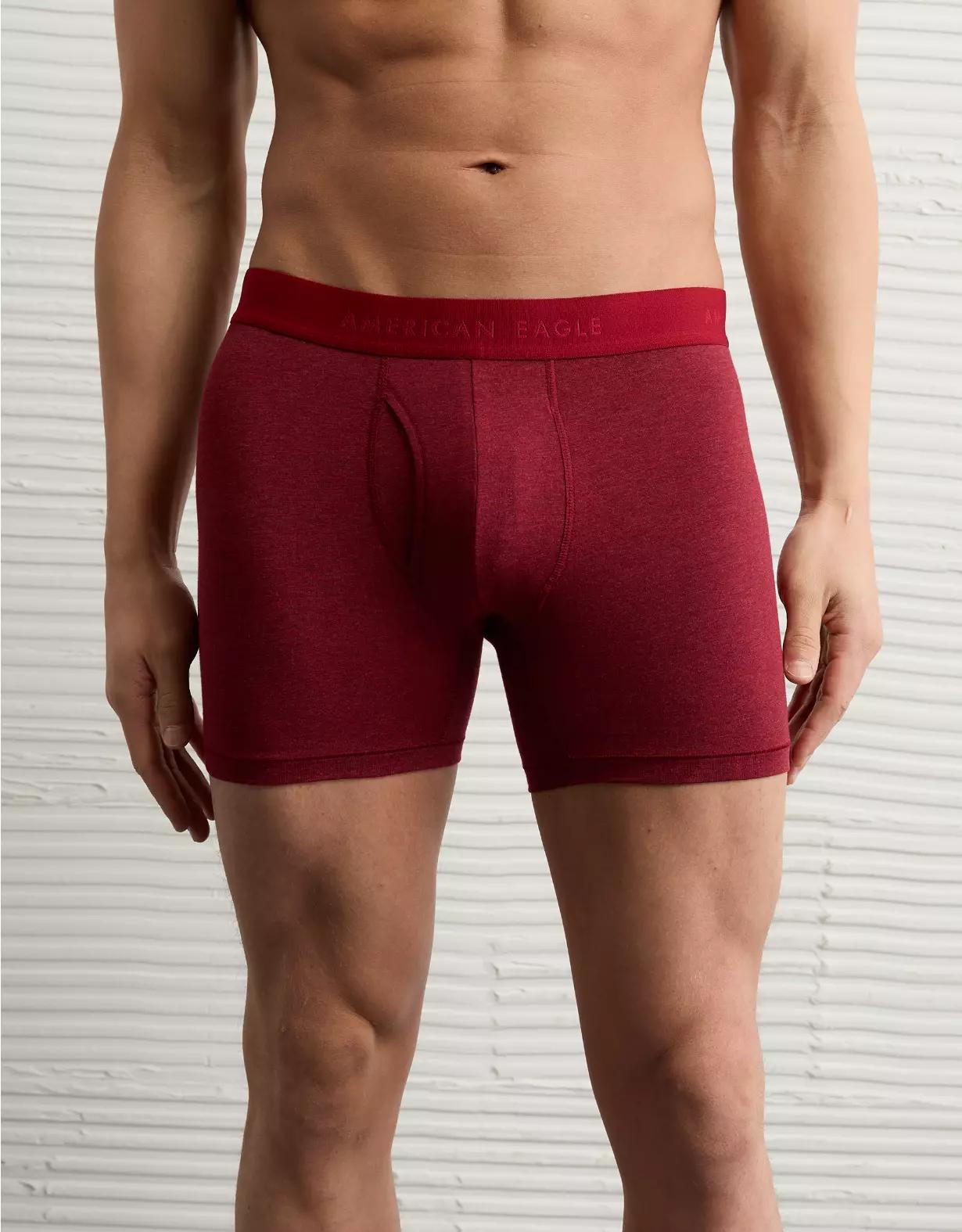 AEO Men's 4.5" Classic Boxer Brief Product Image