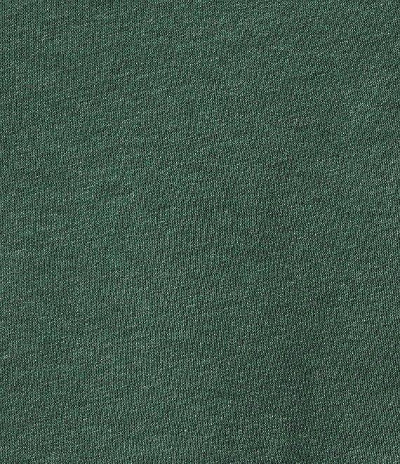 Roundtree & Yorke Big & Tall Solid Cloud Short Sleeve V-Neck T-Shirt Product Image