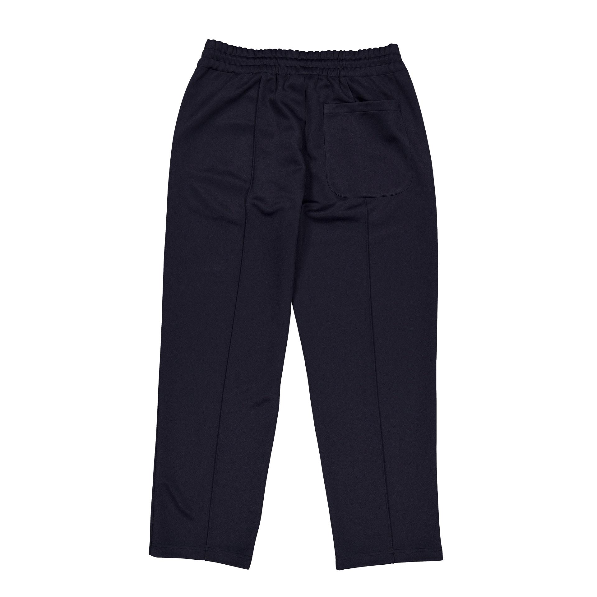 Actuator Navy Track Pants Male Product Image