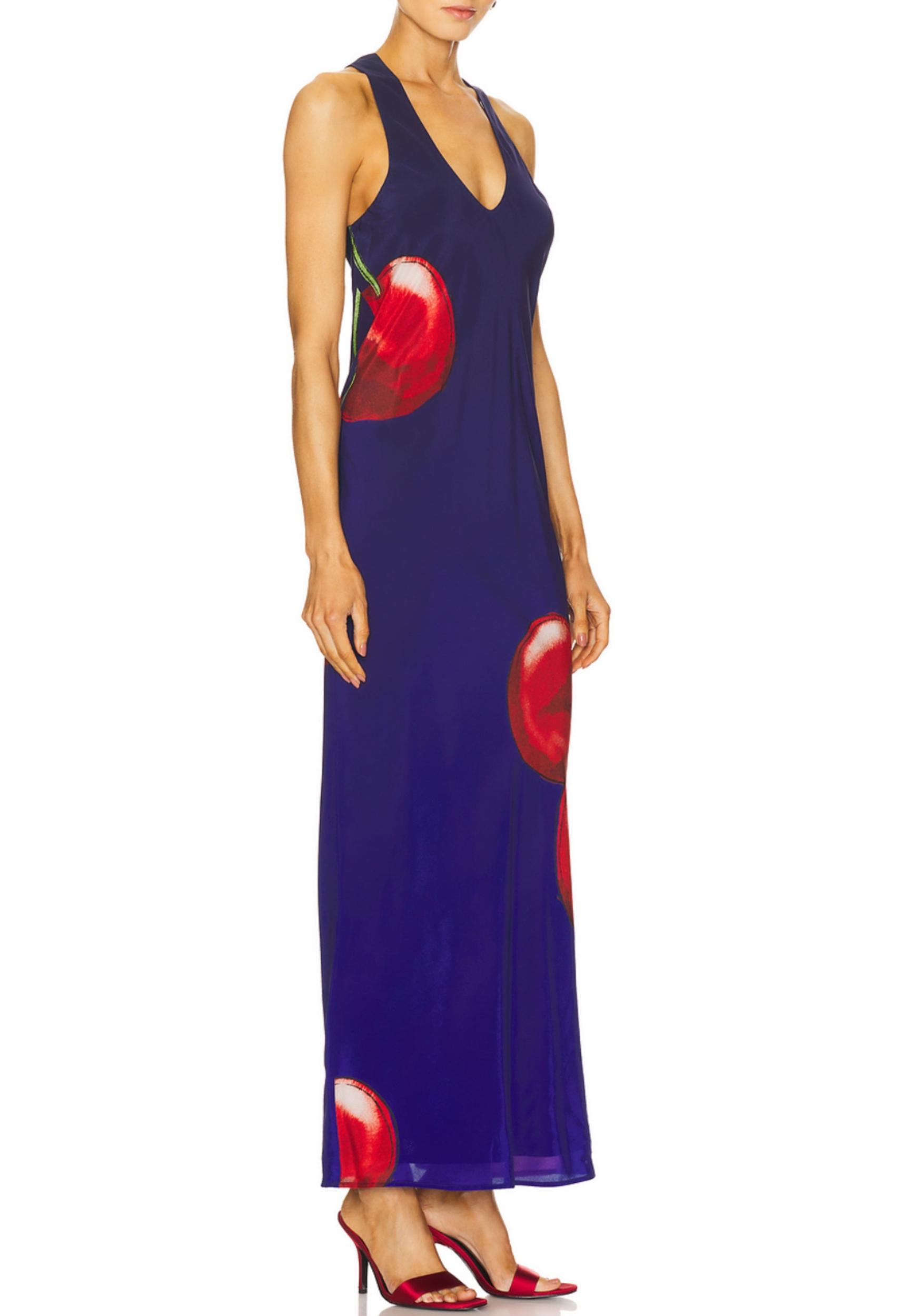 Night Cherry Maxi Dress Product Image