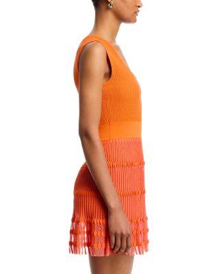 Sheer Knit Mini Dress Product Image