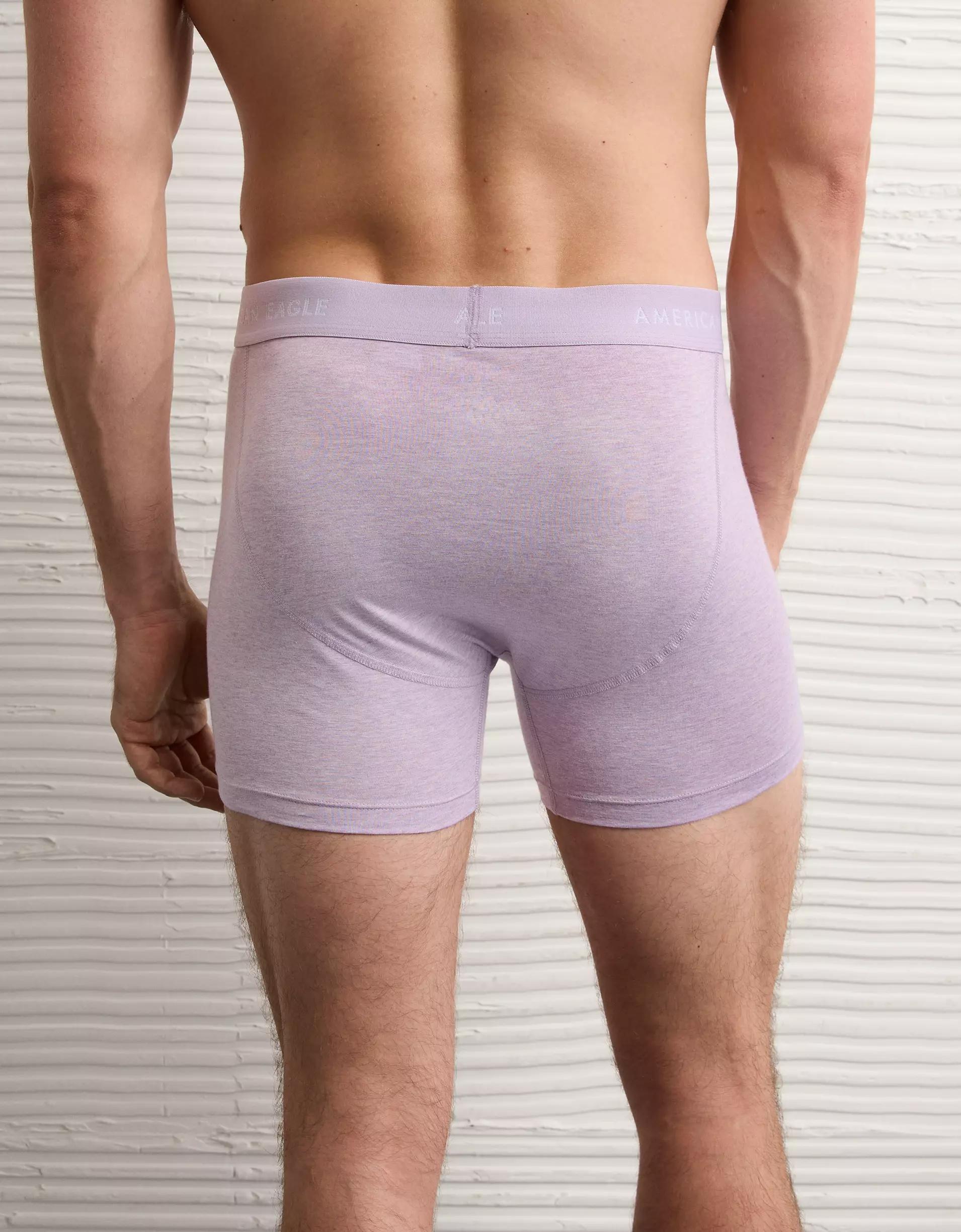 AEO Men's 4.5" Classic Boxer Brief Product Image