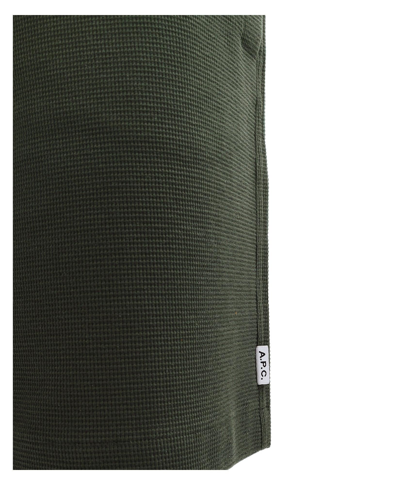 Lino shorts Male Product Image