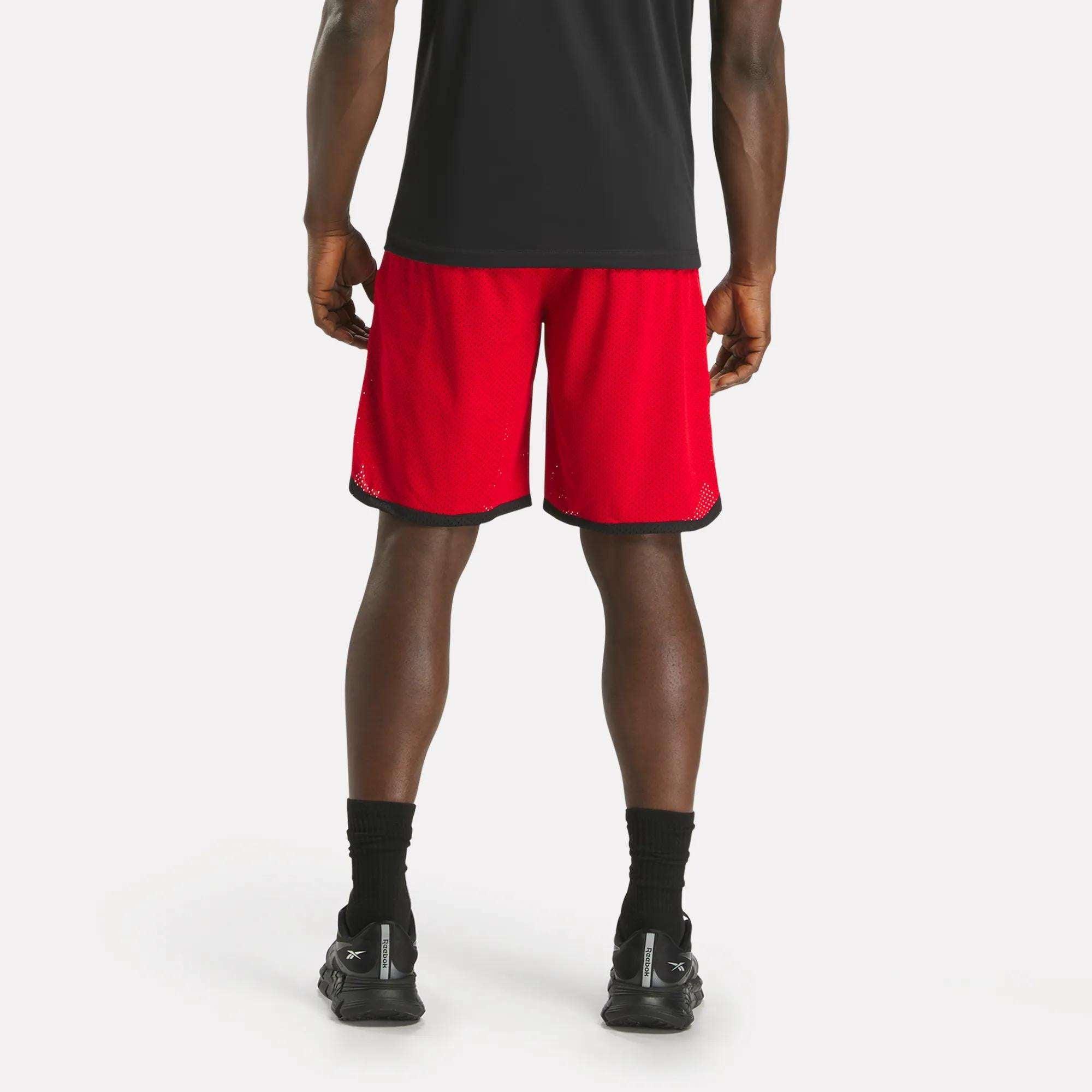 Men's Basketball Mesh Shorts Male Product Image