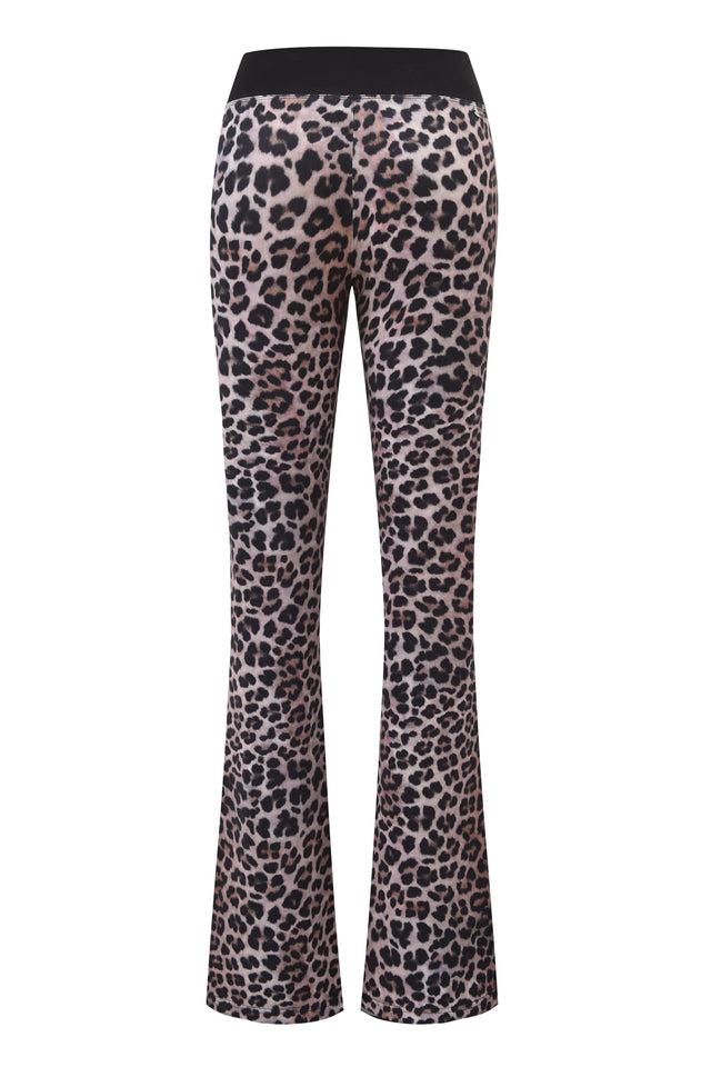 BLARE CROSSOVER PANT - LEOPARD Product Image