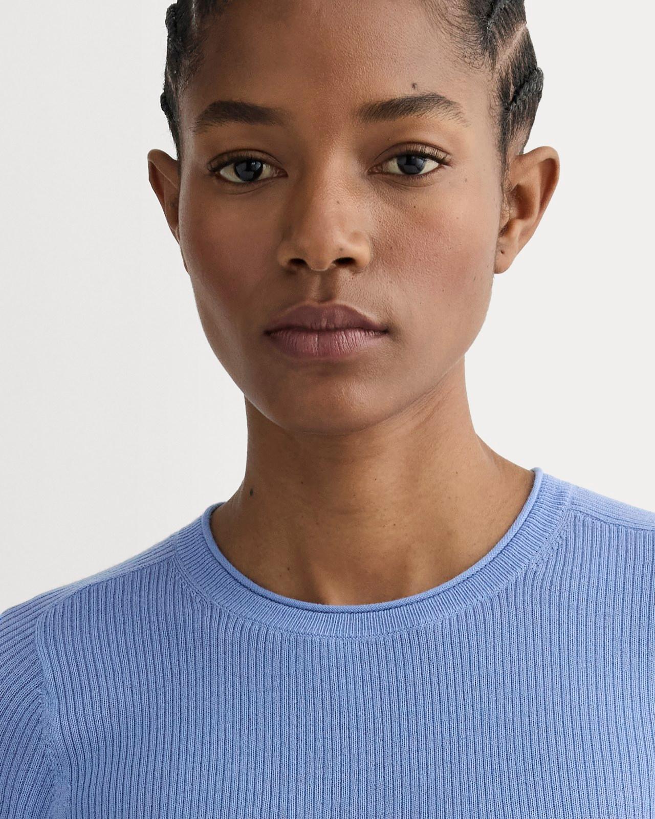 Womens Sweater T-Shirt in Ultrasoft Merino by Everlane Product Image