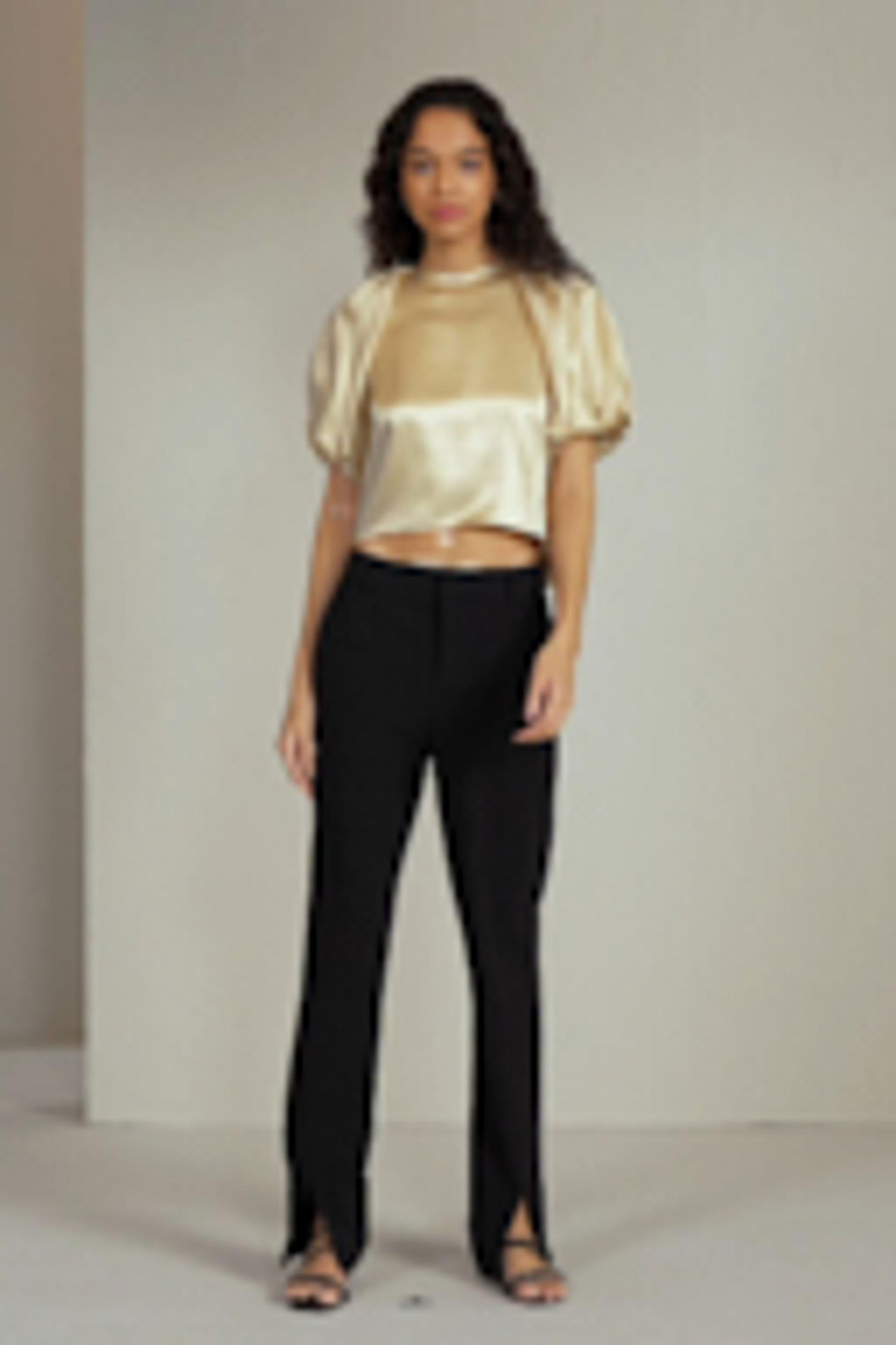 Puff Short Sleeve Watershine Silk Top Product Image