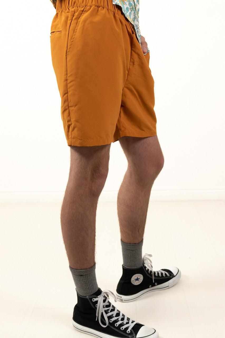 Pine Volley Shorts Product Image
