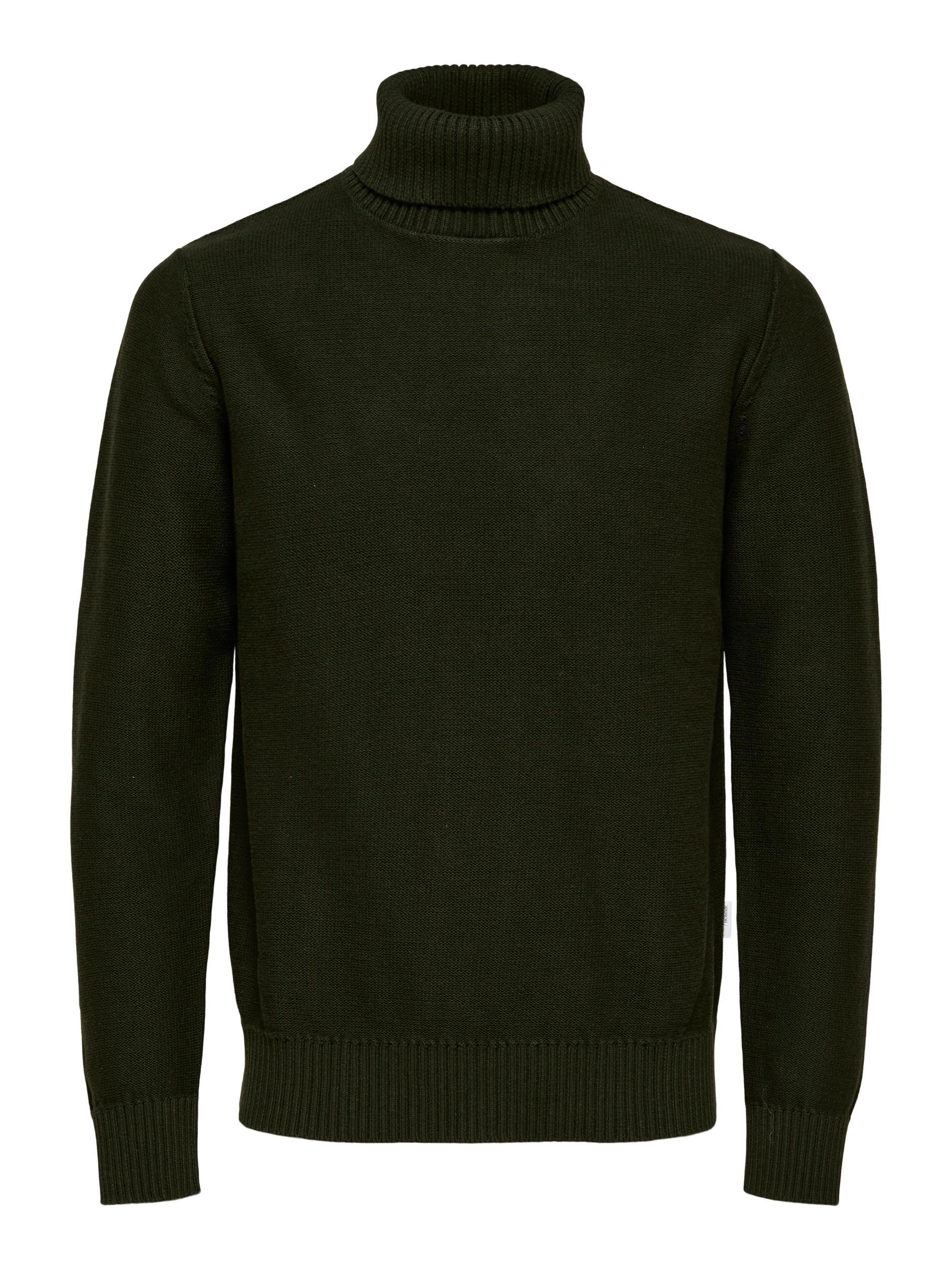 Axel Knit Roll Neck Product Image