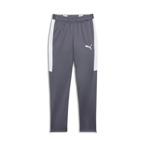 PUMA Speed Men's Pants in Galactic Grey/White Product Image