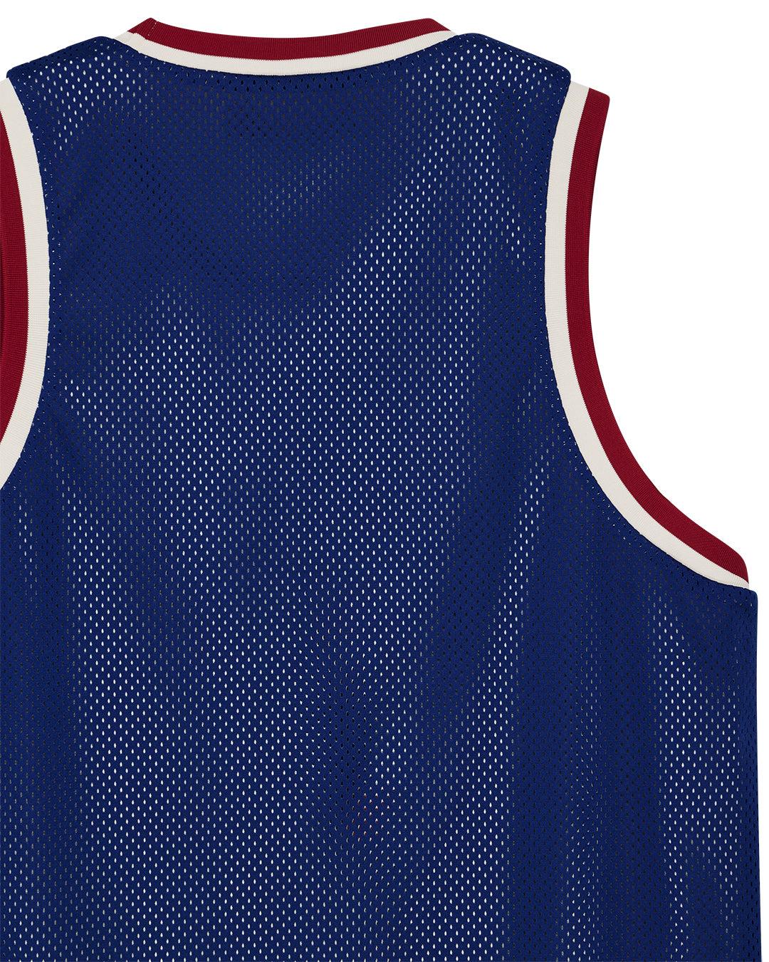 Back And Forth Jersey - Blueprint-Swan (Reversible) Product Image