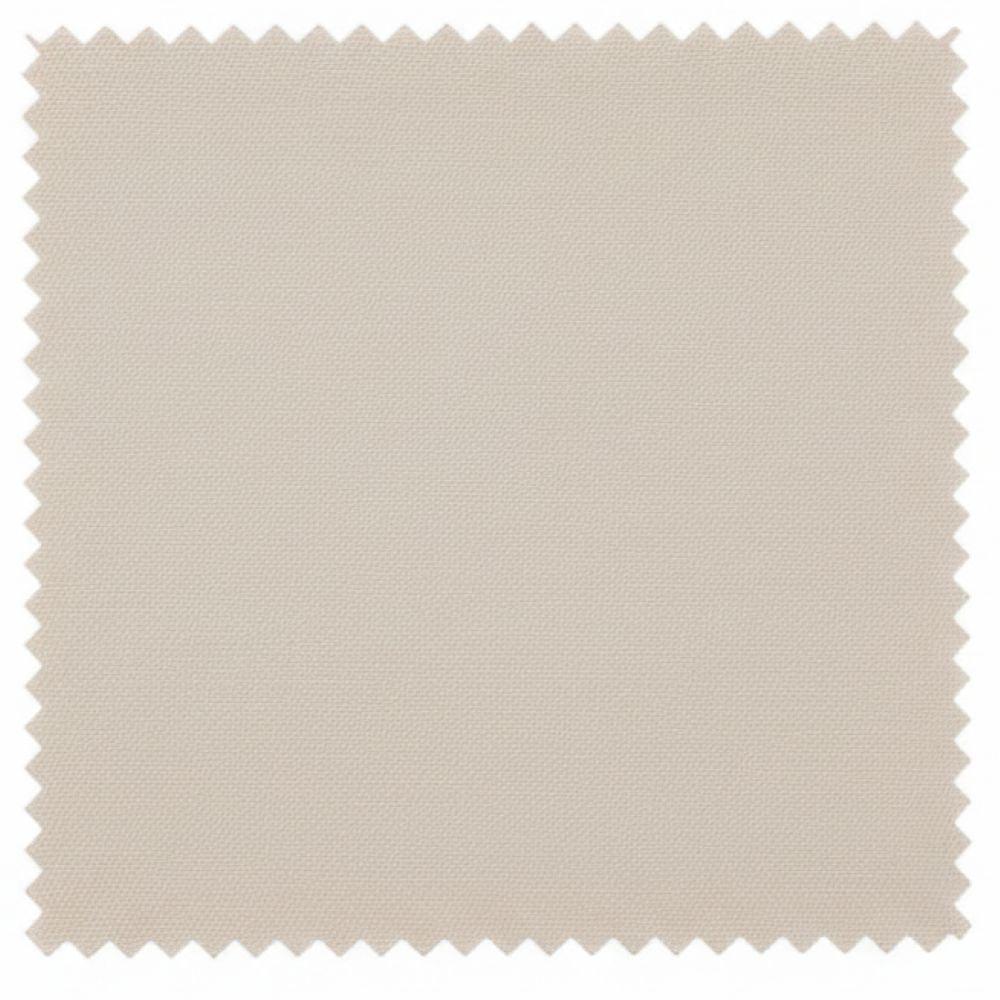 Vanderbilt Collection - Classic 2 Piece Suit 2 Buttons Regular Fit In Beige Product Image