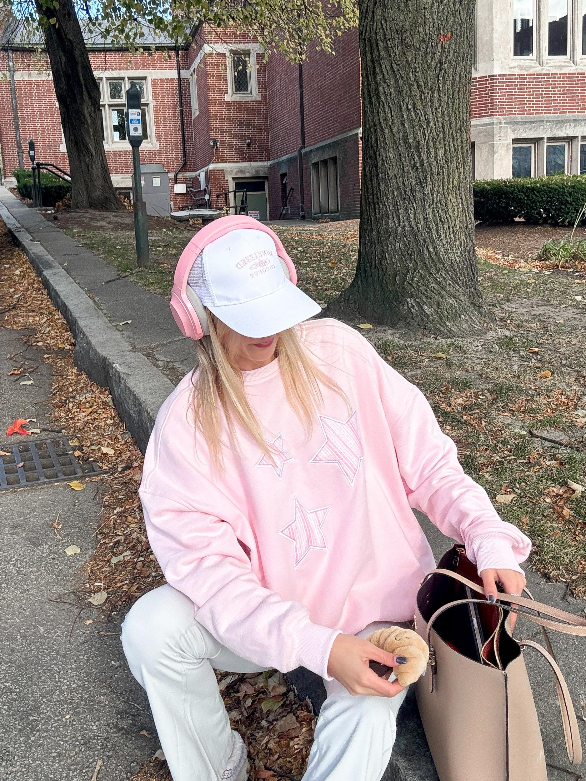 Light Pink Star Lux Striped Sweatshirt Product Image