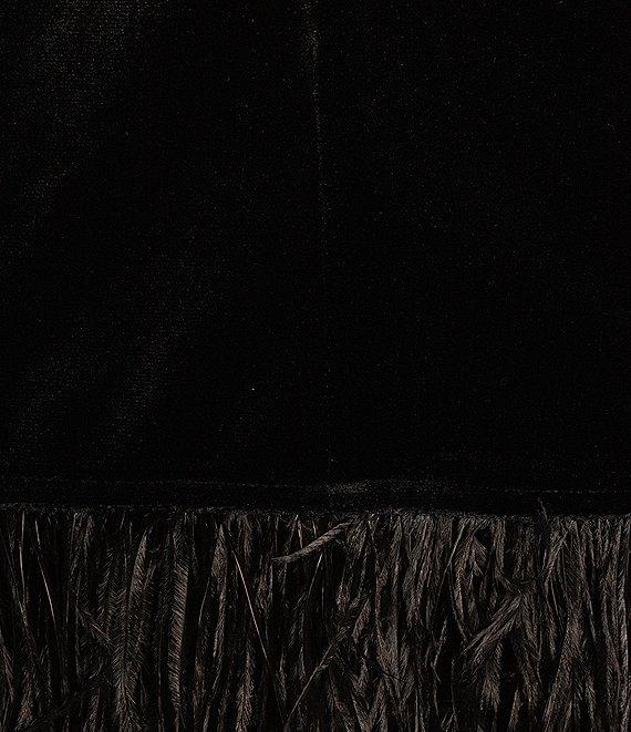 tyler boe Velvet Mock Neck Sleeveless Feather Trim Dress Product Image