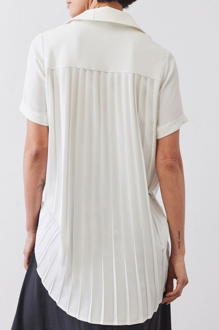 Look In The Back Pleated Blouse Product Image