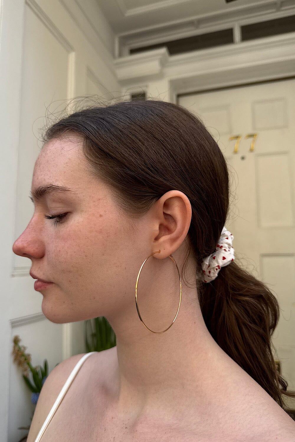 Hoop Earrings Product Image