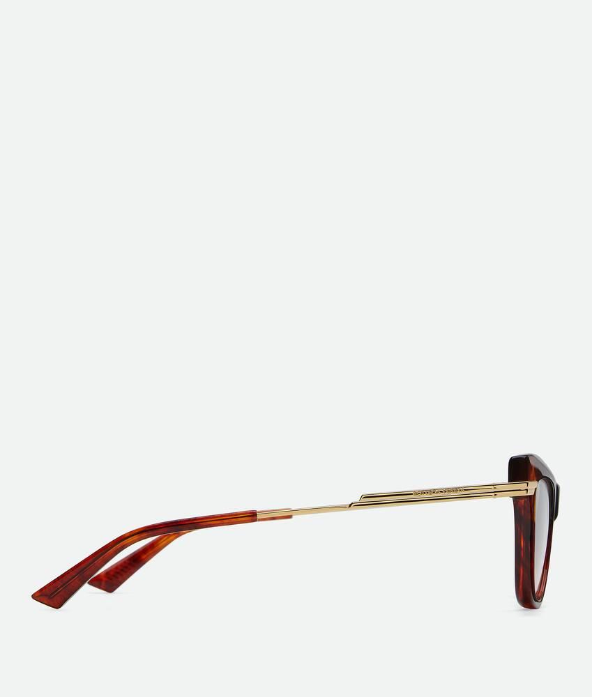 Women's Classic Recycled Acetate Cat Eye Eyeglasses in Havana/transparent Product Image