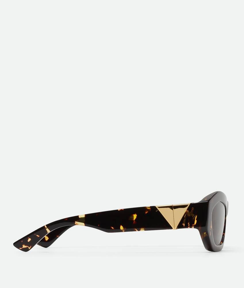 Women's Angle Hexagonal Sunglasses in Havana / Brown Product Image