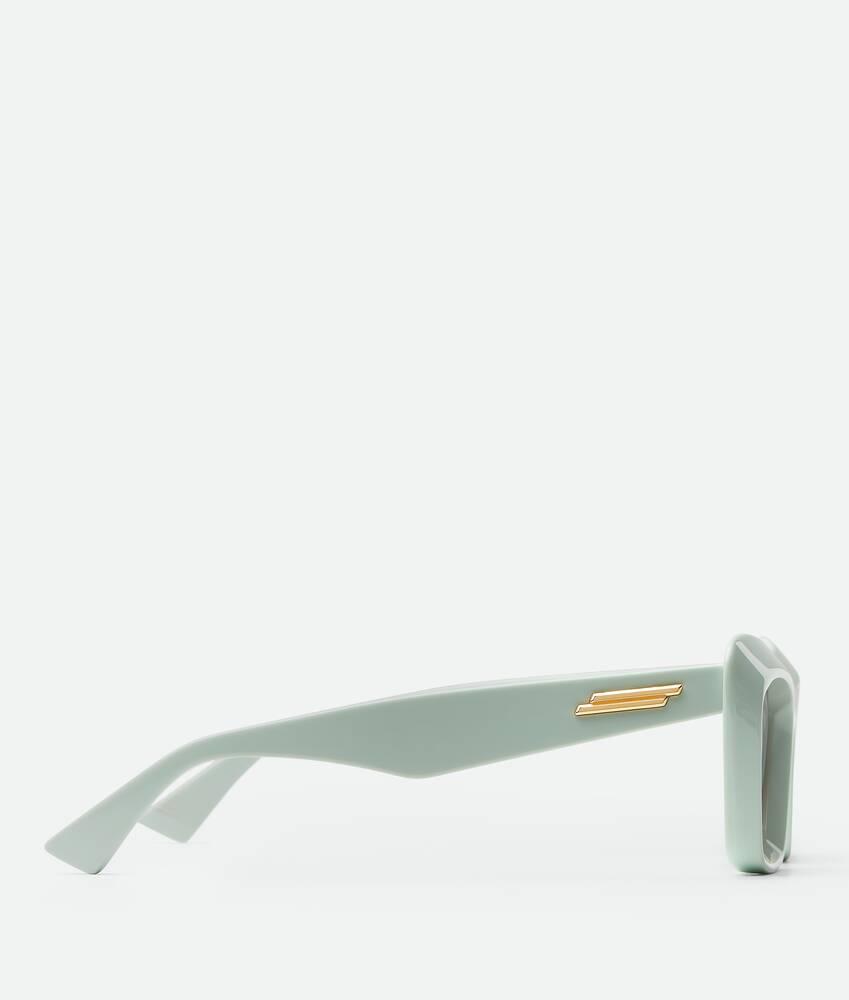 Women's Classic Cat Eye Sunglasses in Green/brown Product Image