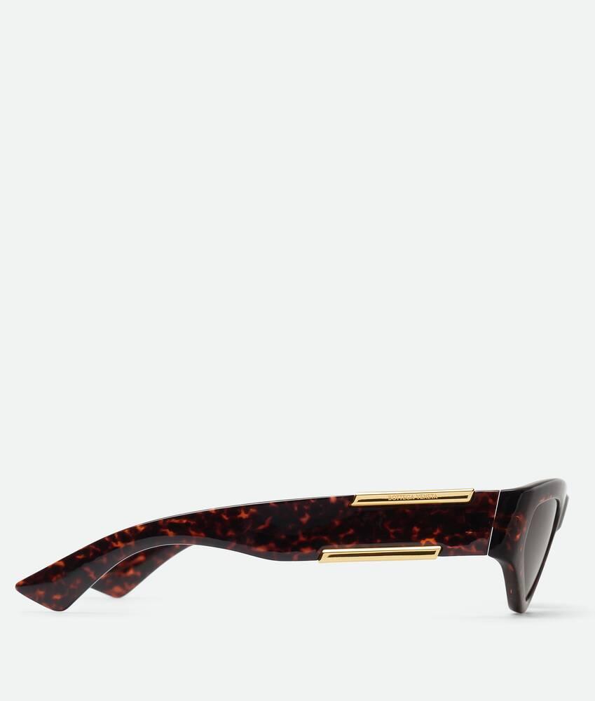 Dash Cat Eye Sunglasses in Havana/brown Product Image