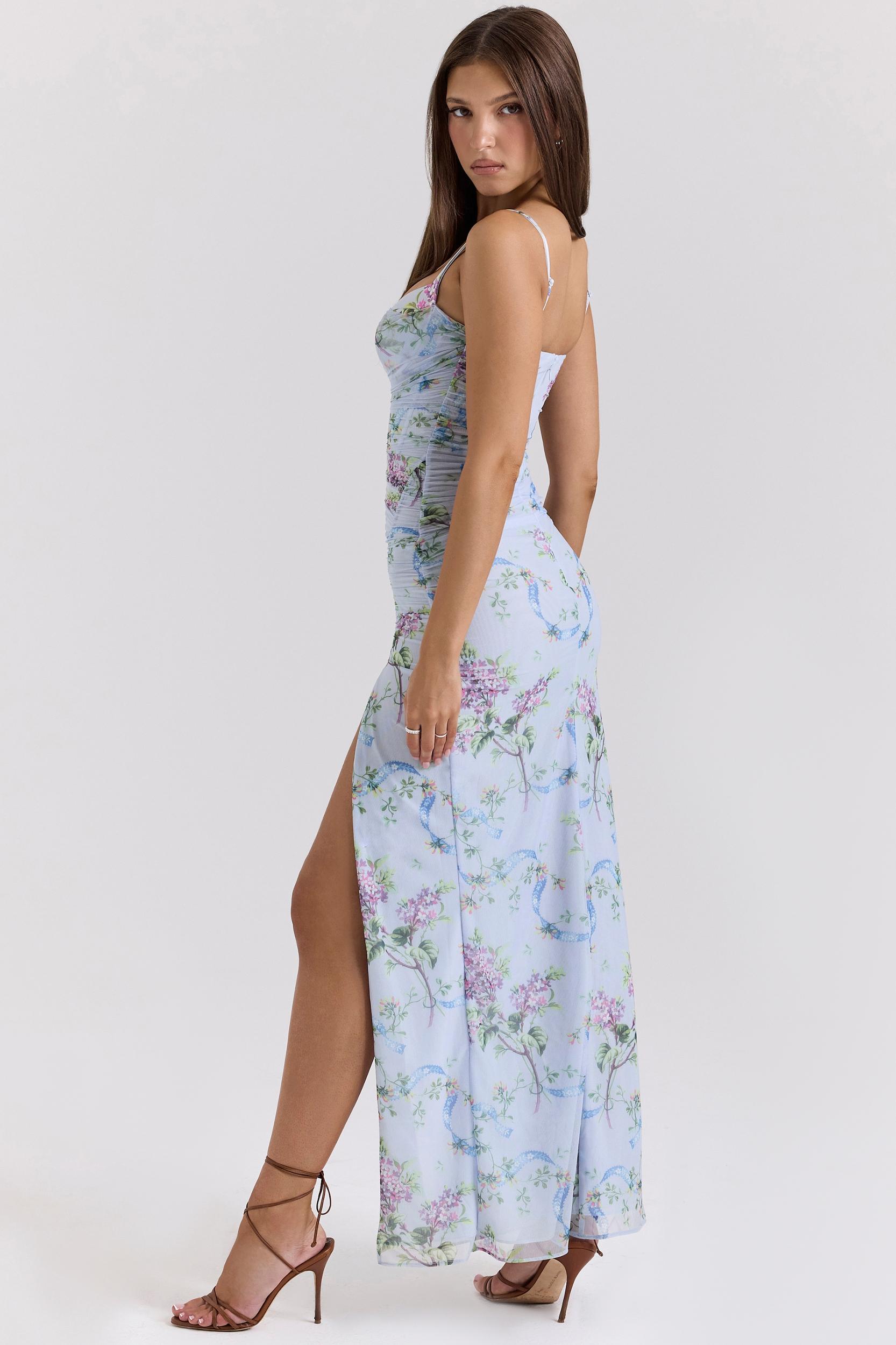 Lini  blue floral print mesh maxi dress Product Image