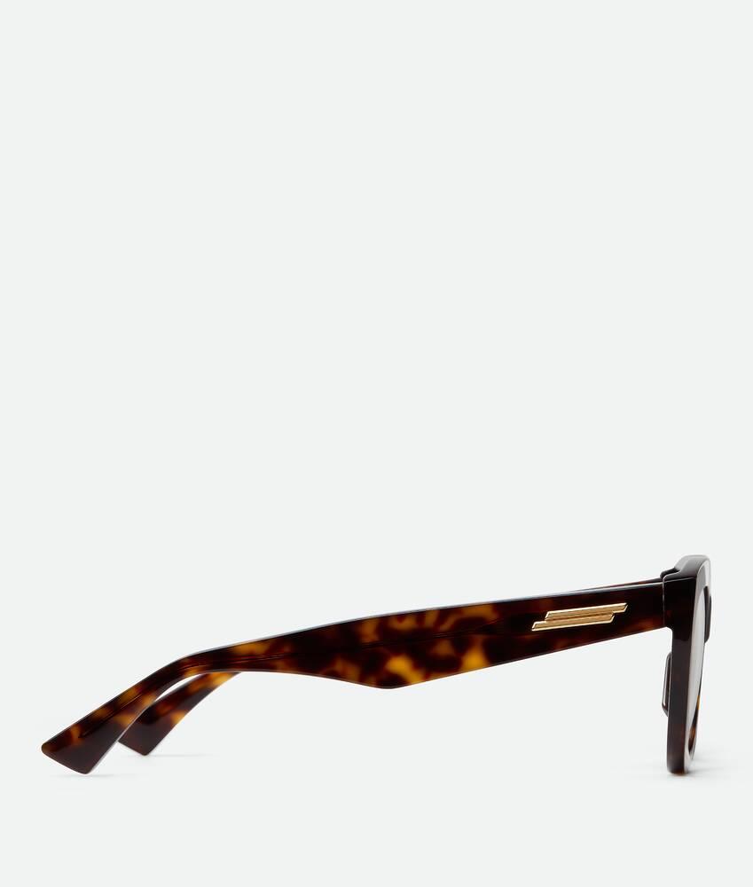 Women's Classic Recycled Acetate Cat Eye Eyeglasses in Havana/transparent Product Image