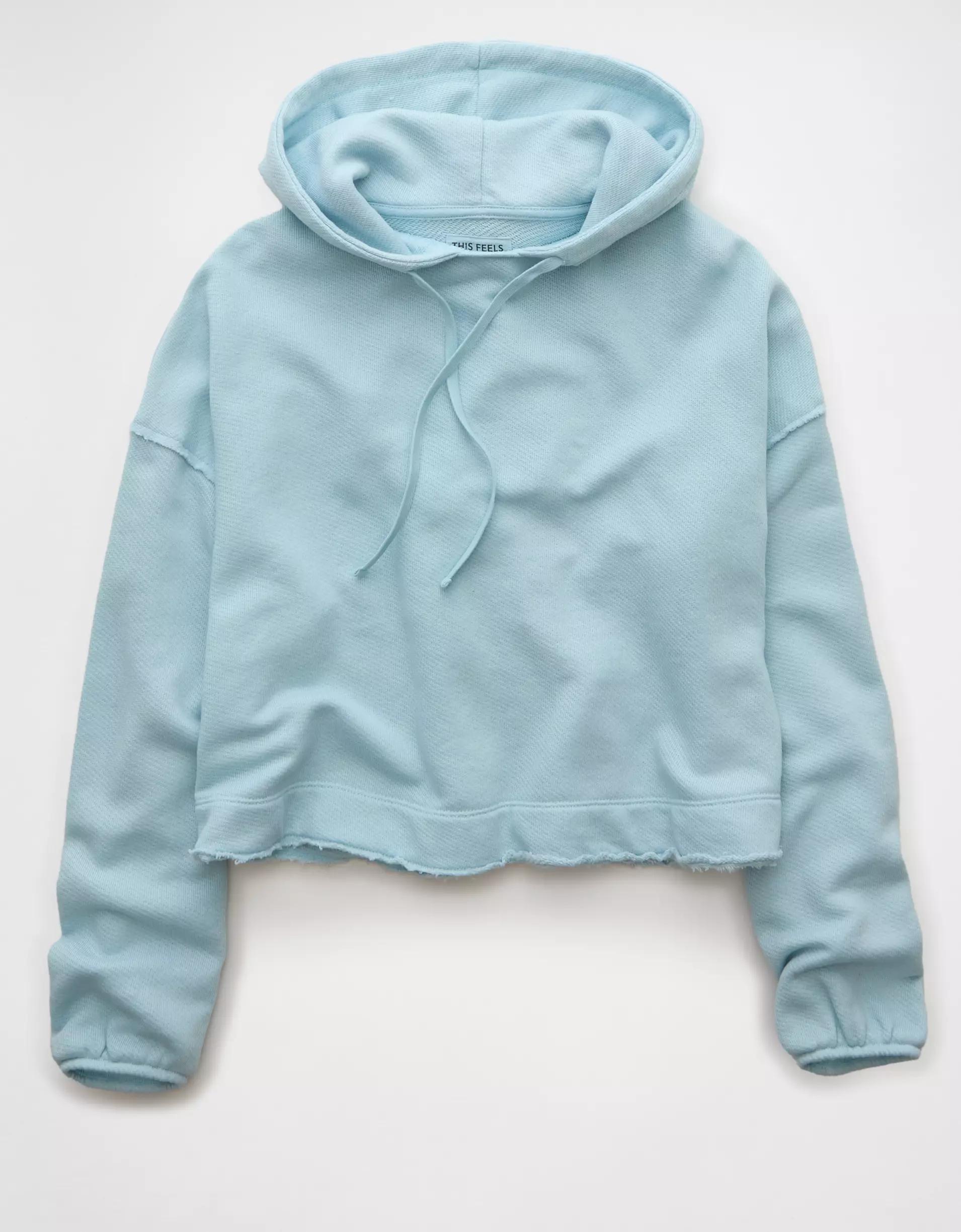 AE Saltwash Hoodie Product Image