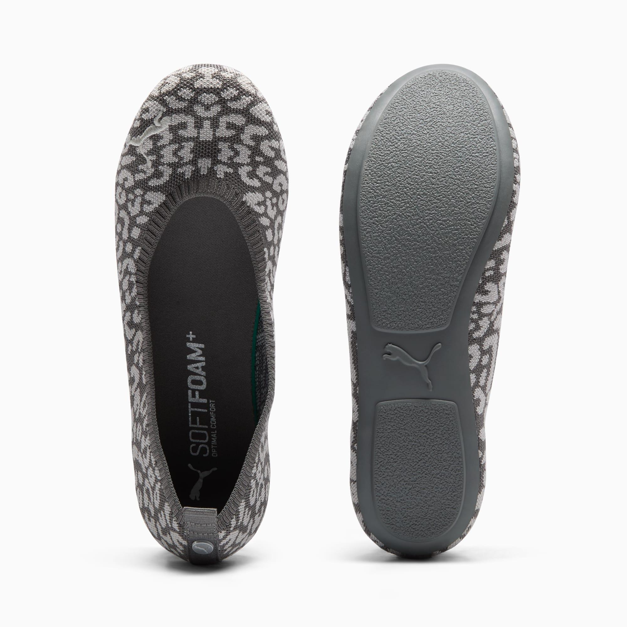 Iliana Ballerina Leopard Print Women's Ballet Flats Product Image