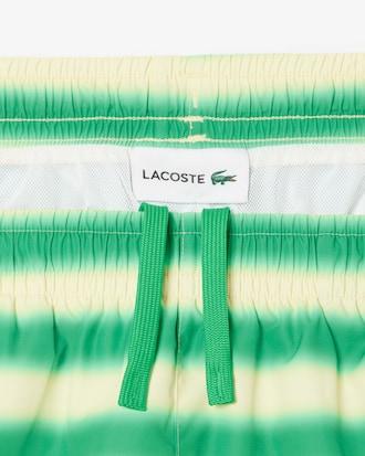 Striped Swim Trunks Product Image