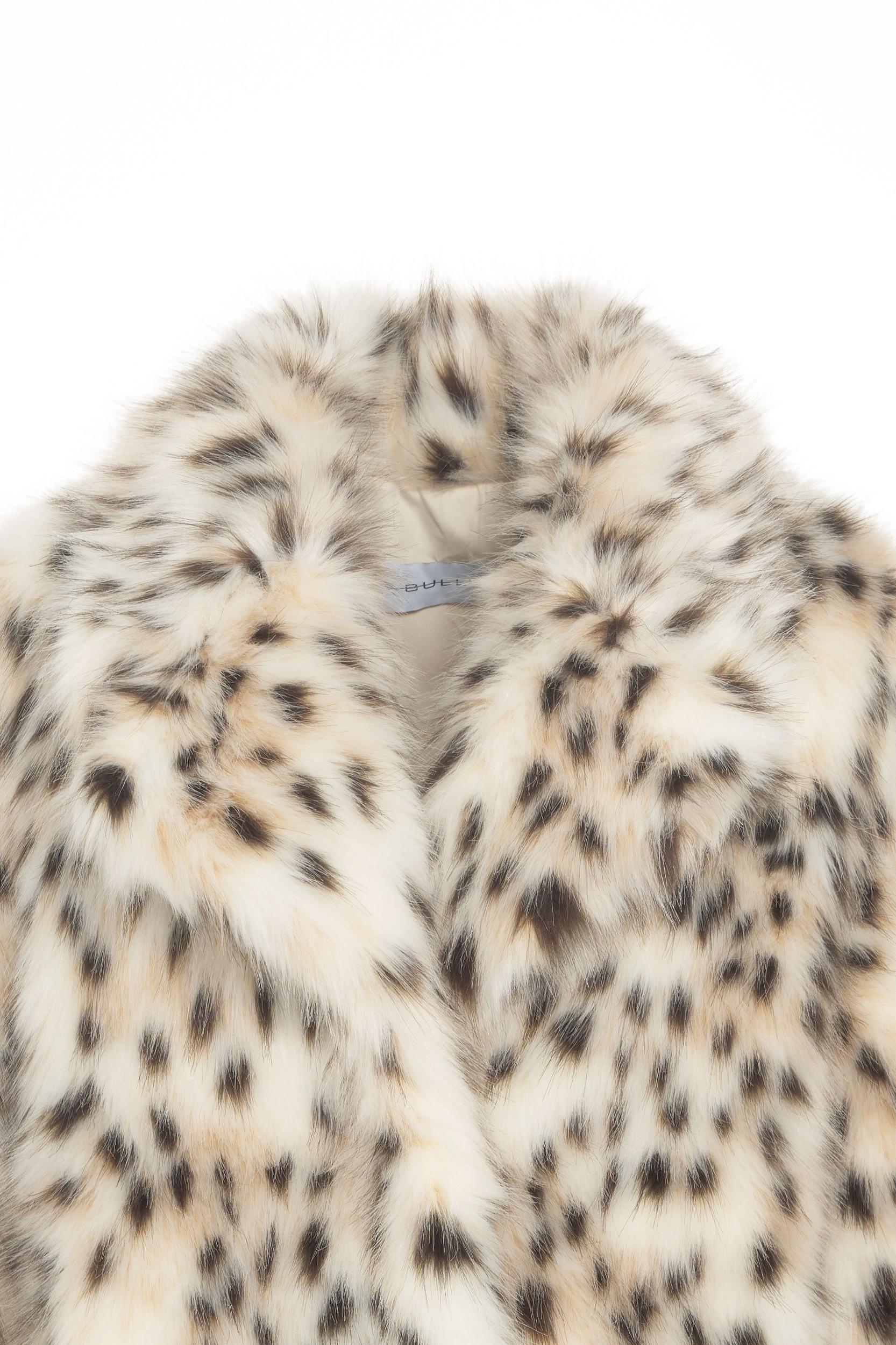 Short coat with Animal Print Product Image