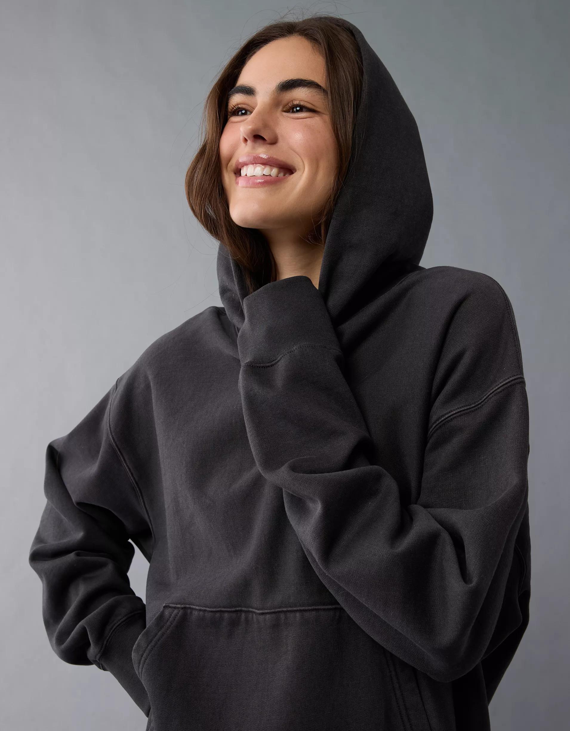 AE Laidback Luxe Heavyweight Hoodie Product Image