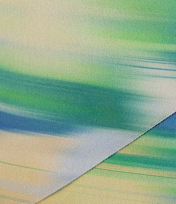 Belle by Badgley Mischka Sky Sleeveless Floral V-Neck Maxi Dress Product Image