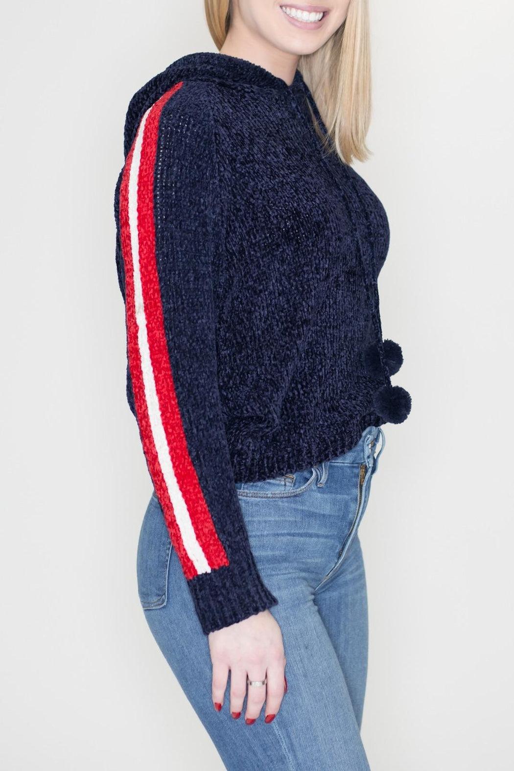 Chenille Striped Hoodie Product Image