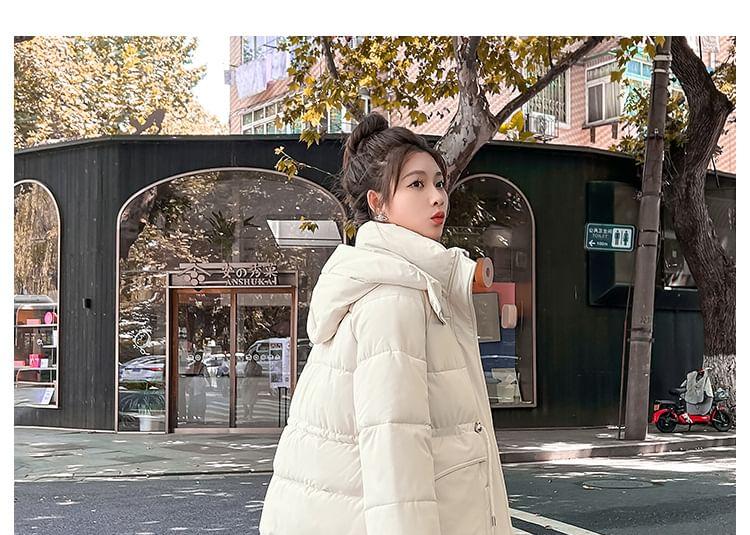 Stand Collar Plain Hood Zip Puffer Jacket Product Image