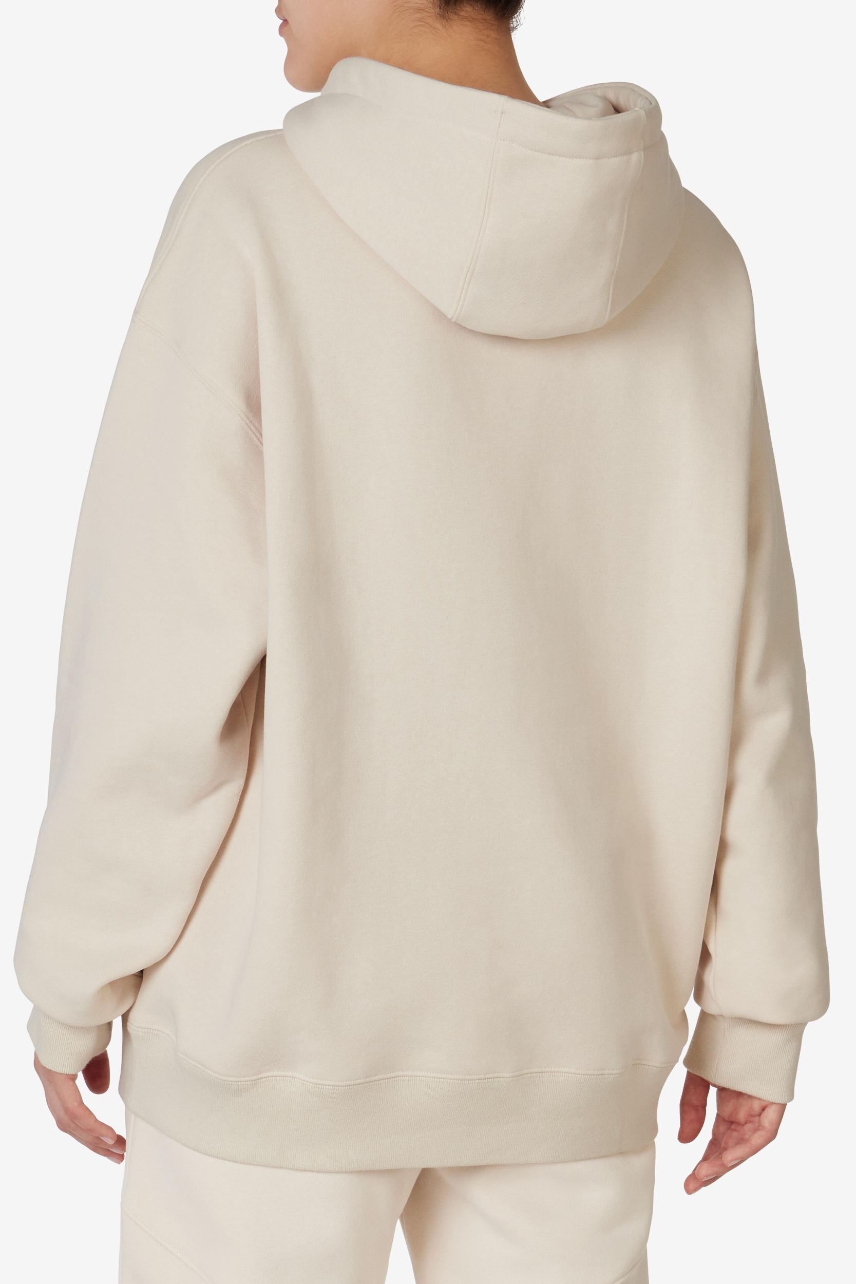 Apex Relaxed Hoodie Product Image