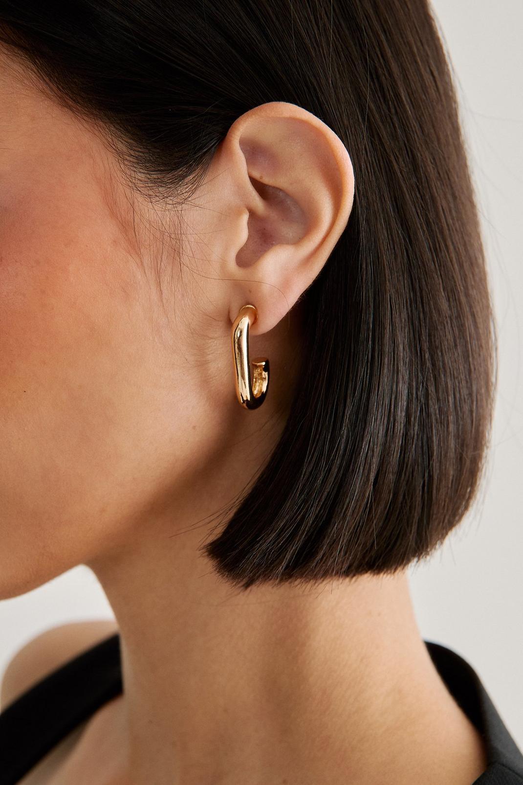 Hoop Earrings Product Image