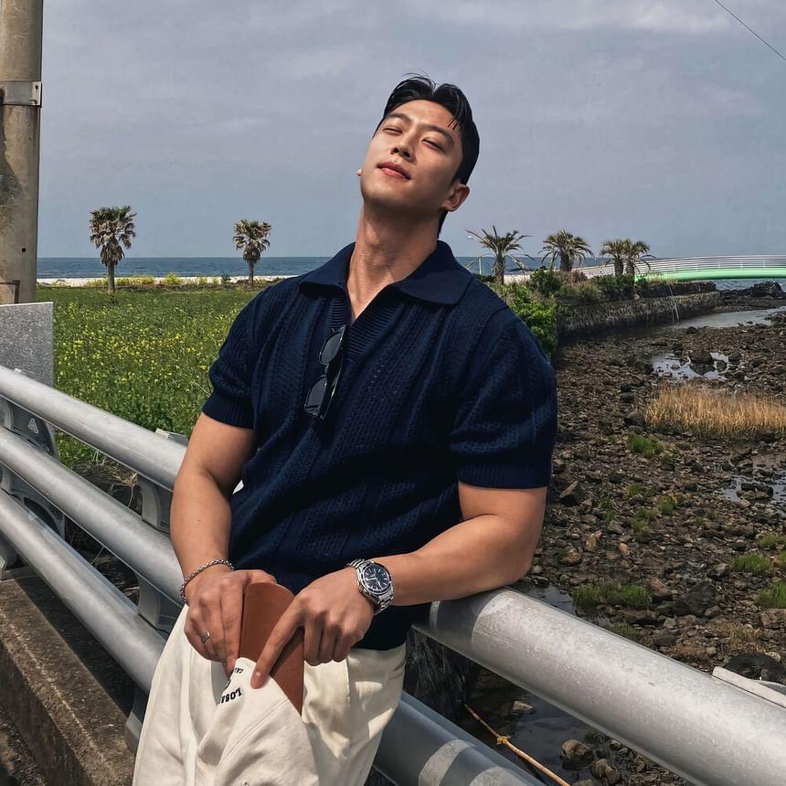 Short-Sleeve Collared Plain Perforated Knit Top Product Image