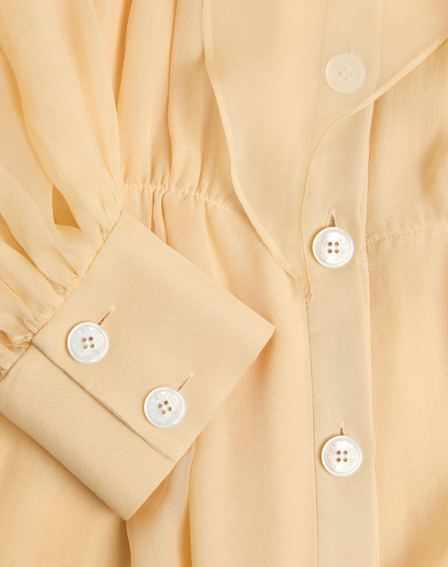 Chiffon Blouse  Product Image